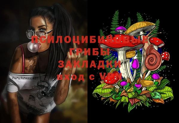 ешки Нязепетровск