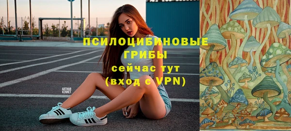 метадон Няндома