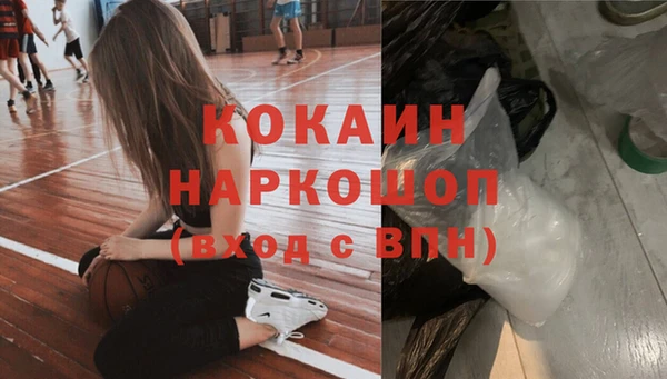 метадон Няндома