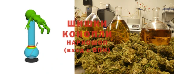 метадон Няндома