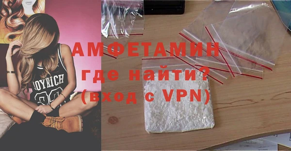 прущие грибы Новодвинск