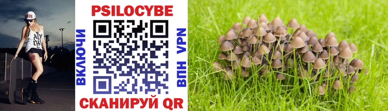 Галлюциногенные грибы Psilocybe  где продают наркотики  Калачинск 