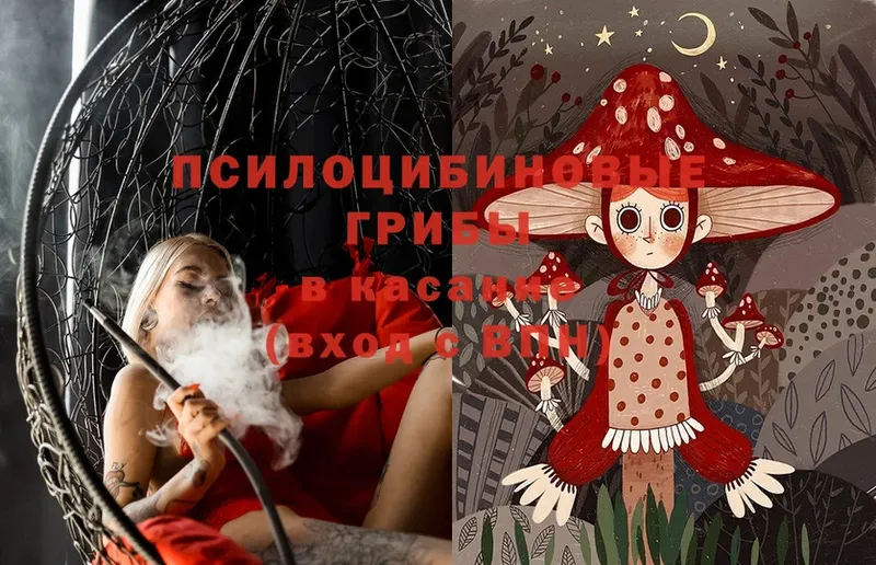 blacksprut ССЫЛКА  Калачинск  Псилоцибиновые грибы Cubensis 